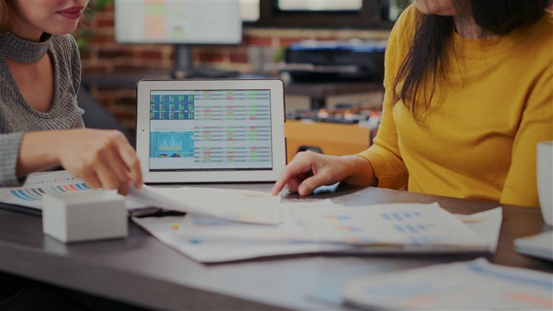 Visual representation of software project planning and cost estimation
